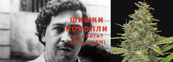 стафф Заволжск