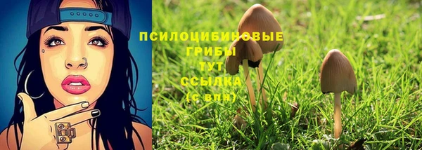 ECSTASY Зерноград
