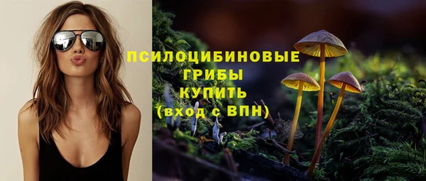 мет Заводоуковск