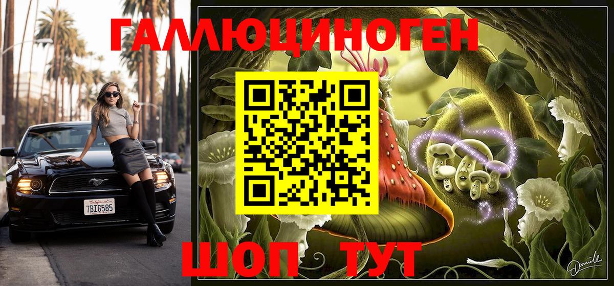 Псилоцибиновые грибы Psilocybe Рыбинск