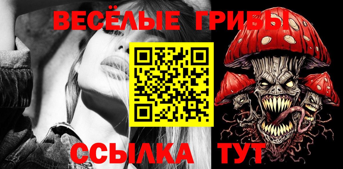 Псилоцибиновые грибы GOLDEN TEACHER  Рыбинск 