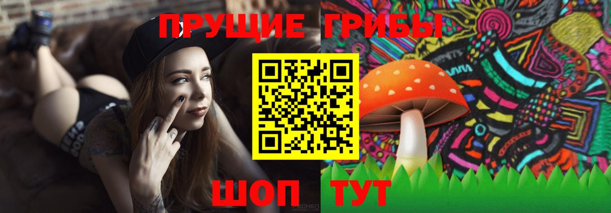 Галлюциногенные грибы прущие грибы Рыбинск