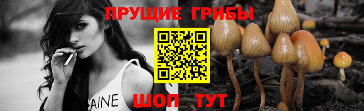 Псилоцибиновые грибы мухоморы  Вход с VPN  Рыбинск 